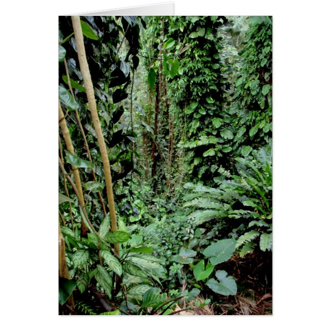 Welcome to the Jungle (Front)