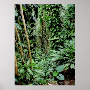 Welcome to the Jungle Poster