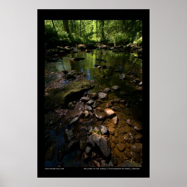 Welcome to the jungle poster (Front)