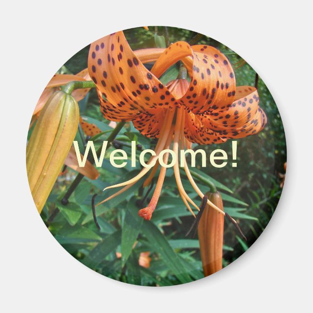 Welcome to the Neighbourhood Turk's Cap Lily Magnet (Front)