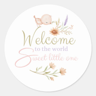 Welcome To The World Baby Stickers 