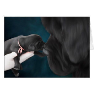 Welcome to the world blank card