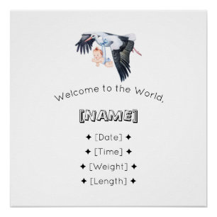 Welcome to the World Custom Name & Birth Stats Bab Poster
