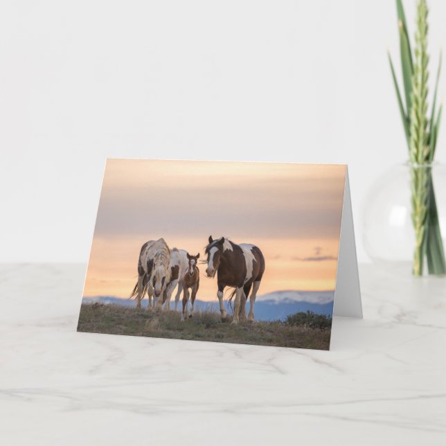 "Welcome to the World" Note Card (Front)