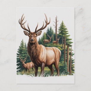 Welcome Your New Baby 2026 Holiday Postcard