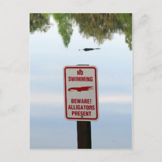 Welcoming Committee for Florida Postcard