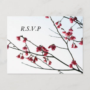 Welcoming Spring/ Oriental Zen Flora RSVP Invitation Postcard