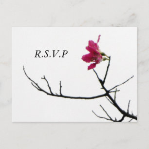 Welcoming Spring/ Oriental Zen Flora RSVP Invitation Postcard