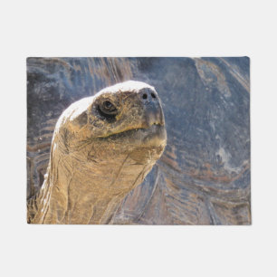 Welcoming Tortoise- Doormat