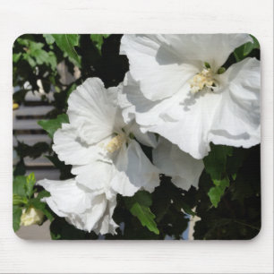 welcoming white flowers mouse mat