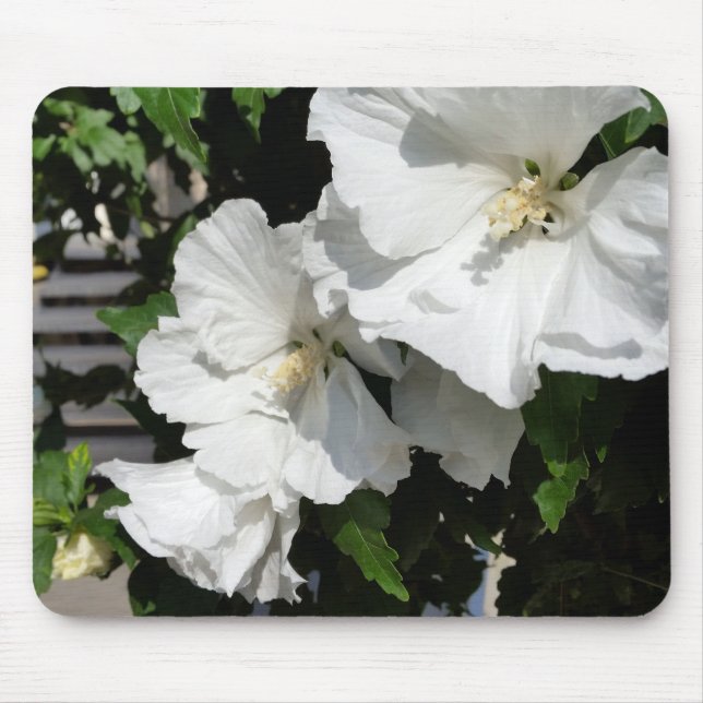 welcoming white flowers mouse mat (Front)
