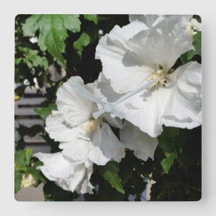 welcoming white flowers square wall clock