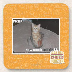 Well? Coaster