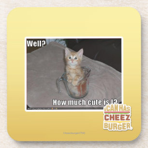 Well? Coaster