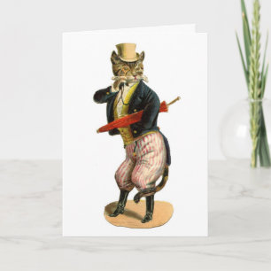 Well-dressed Kitty Cat Funny Happy Birthday Card