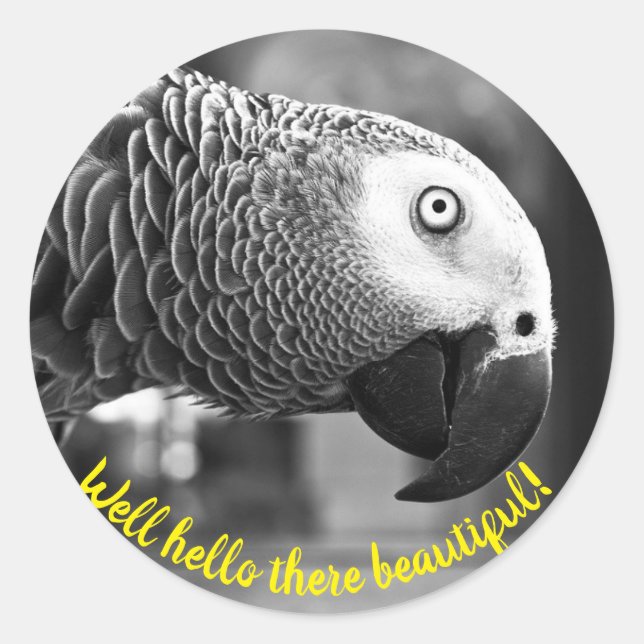 Well hello there beautiful - A creepy grey parrot  Classic Round Sticker (Front)