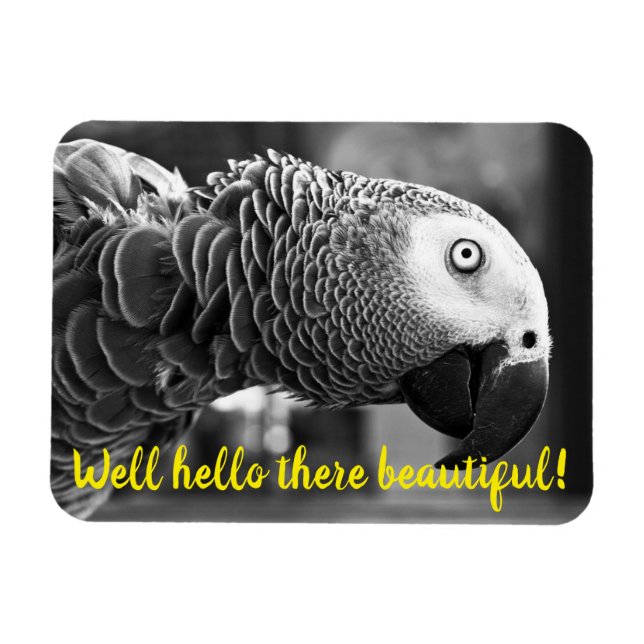 Well hello there beautiful - A creepy grey parrot Magnet (Horizontal)