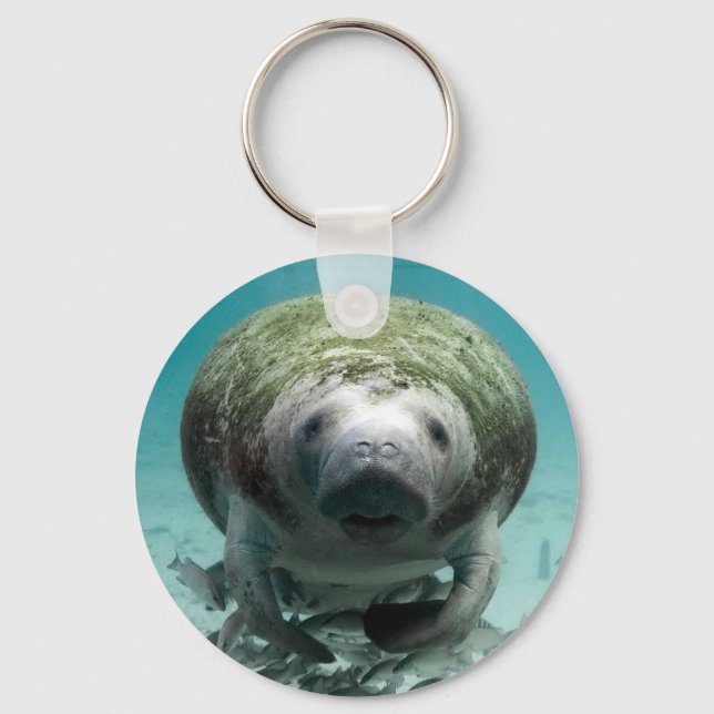 Well Hello There Key Ring (Front)