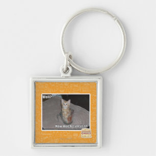 Well? Key Ring