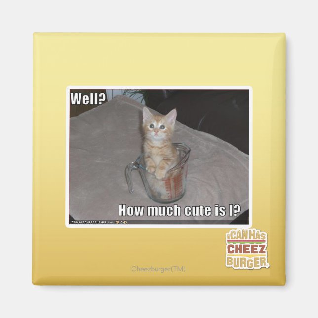 Well? Magnet (Front)
