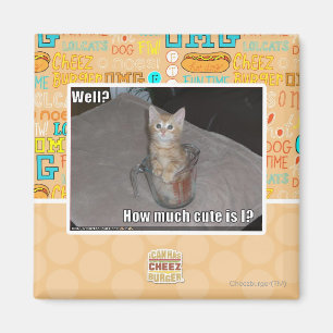 Well? Magnet