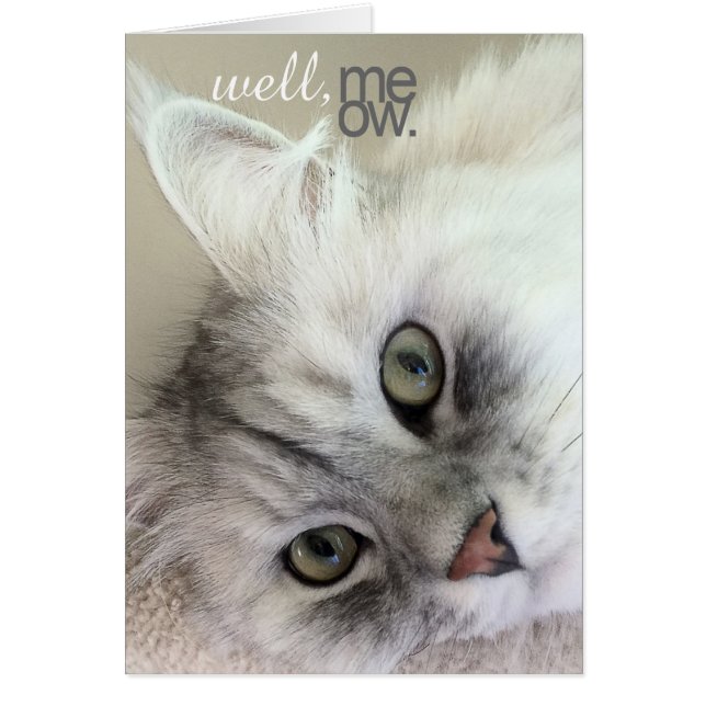 Well, Meow There Multi-Occasion Card (Front)