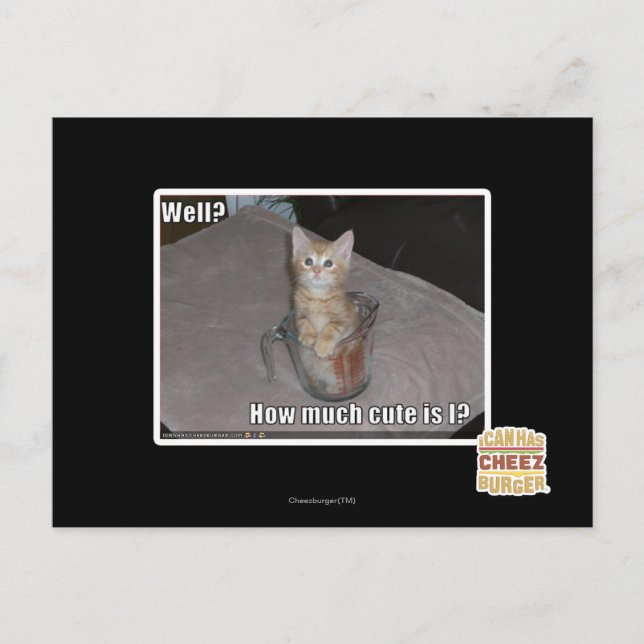 Well? Postcard (Front)