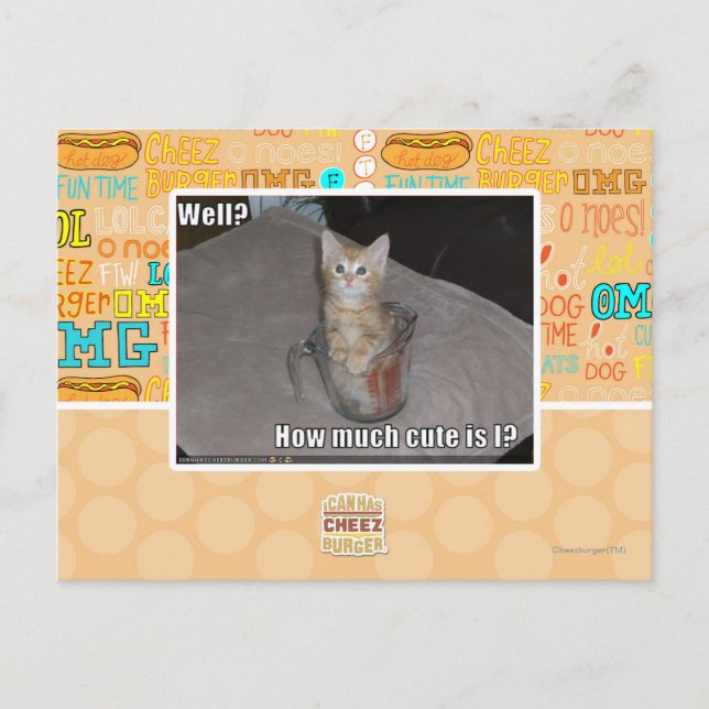 Well? Postcard (Front)