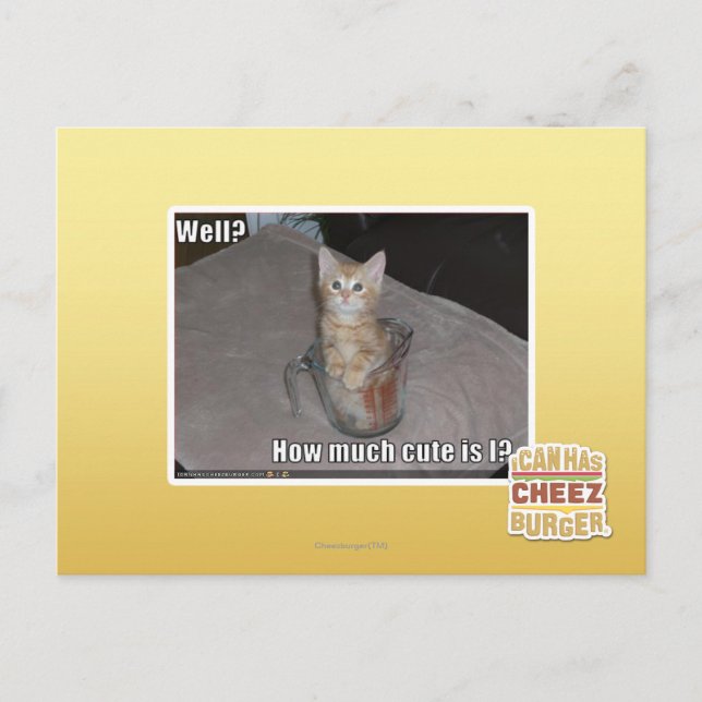 Well? Postcard (Front)