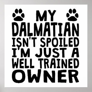 Well Trained Dalmatian Owner Poster