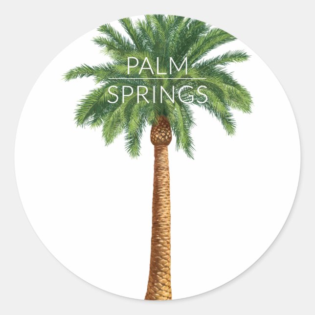 Wellcoda Palm Springs Holiday Summer Fun Classic Round Sticker (Front)