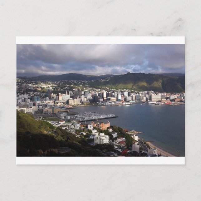 Wellington Harbour, New Zealand Postcard (Front)