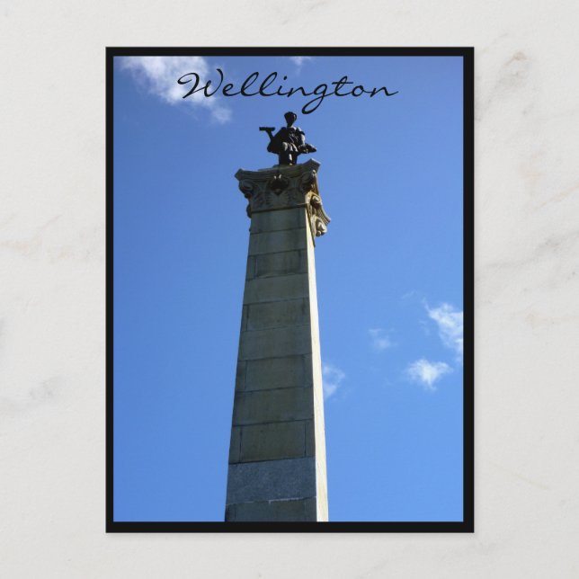 wellington monument seddon postcard (Front)