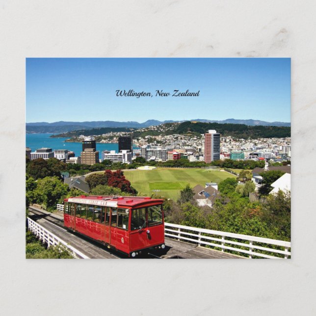Wellington, New Zealand scenic photo Postcard (Front)
