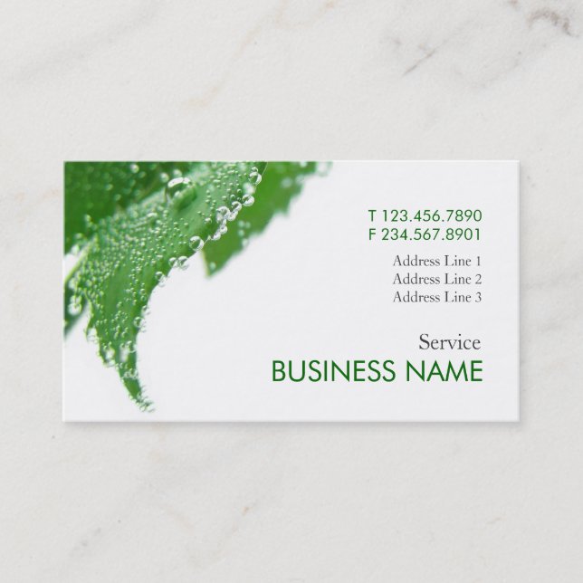 Wellness Fresh Care Business Card Template (Front)