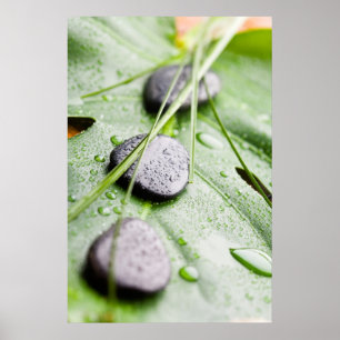 Wellness poster/canvas print