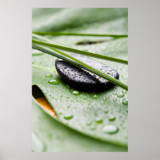 Wellness poster/canvas print