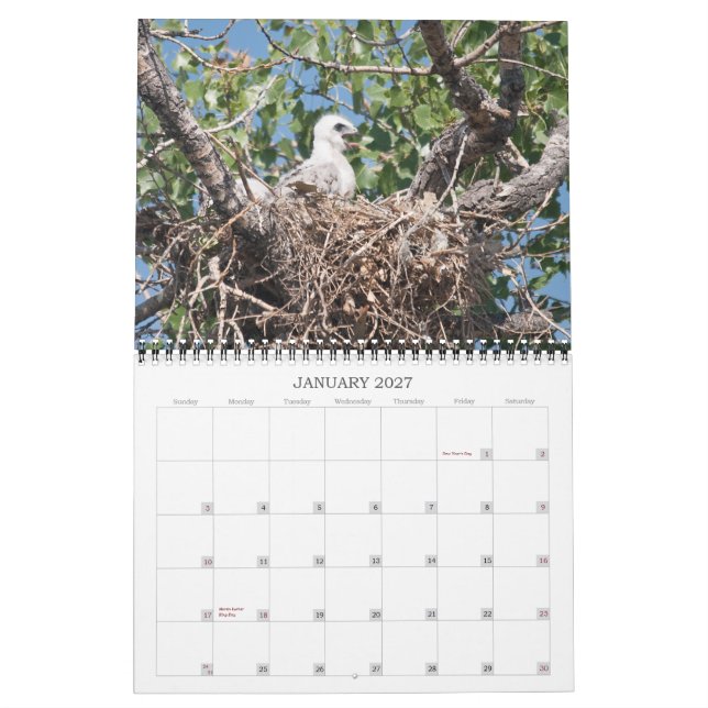 Wells 2011 calendar (Jan 2027)