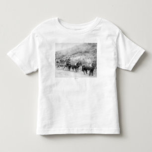 Wells Fargo Express Company Toddler T-Shirt