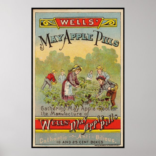 Well's May Apple Pills Vintage Poster (Front)