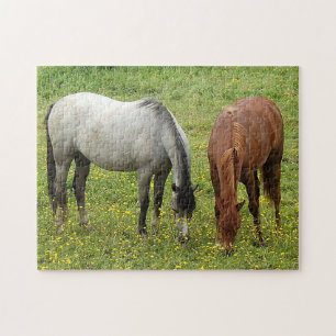 Welsh Cobs horse Puzzle