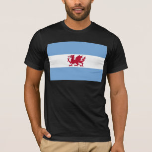 Welsh Colony In Patagonia, Argentina flag T-Shirt
