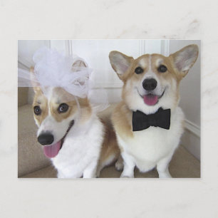 WELSH CORGI BRIDE AND GROOM POSTCARD