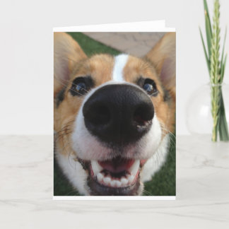 Welsh Corgi Dog Nose Collection Card