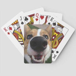 Welsh Corgi Dog Nose Collection Playing Cards