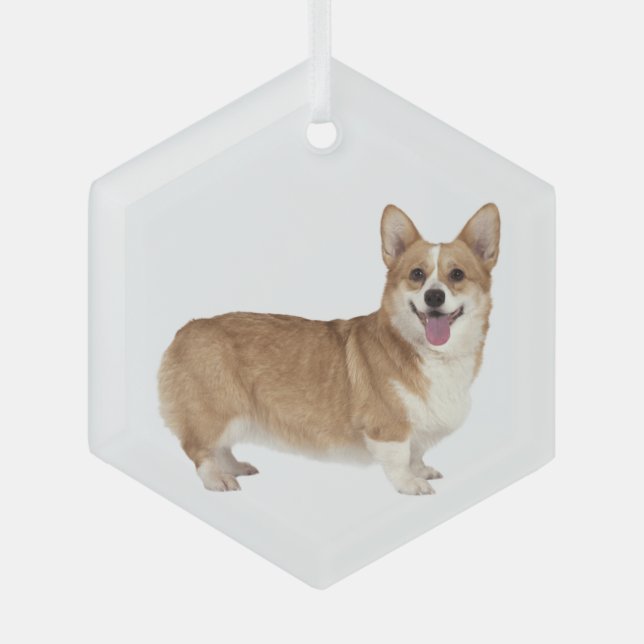 Welsh Corgi  Dog Pet Animal  Glass Ornament (Front)