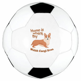 Welsh Corgi Home Football