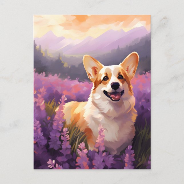 Welsh Corgi in Lavender field Postcard (Front)