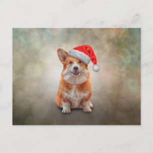 Welsh Corgi in red hat of Santa Claus Postcard