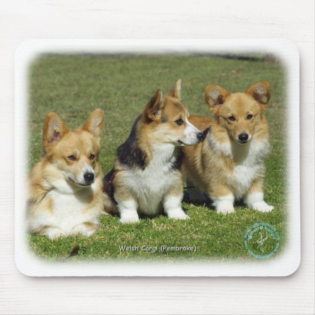 Welsh Corgi (Pembroke) Mouse Mat (Front)